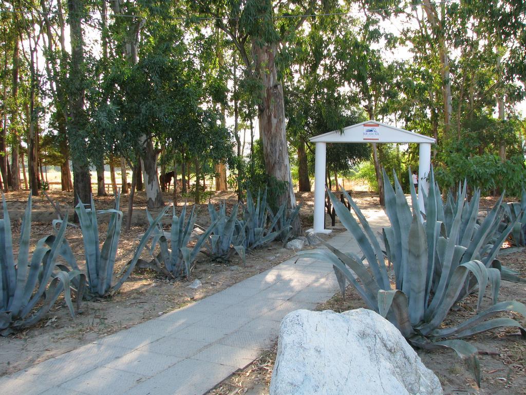 Nausicaa Village Sant'Andrea Apostolo dello Ionio Εξωτερικό φωτογραφία